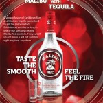 Weird liquor pairings that will make your head spin in all the wrong ways flavored vodka 2 150x150 Weird liquor pairings that will make your head spin in all the wrong ways
